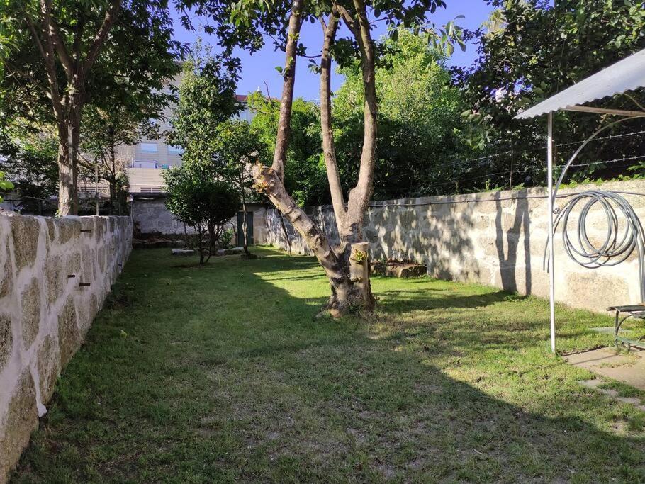 Alvares Cabral Apartamento C Apartment Porto Ngoại thất bức ảnh